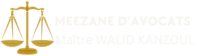 meezane d’avocats-walid kanzoul